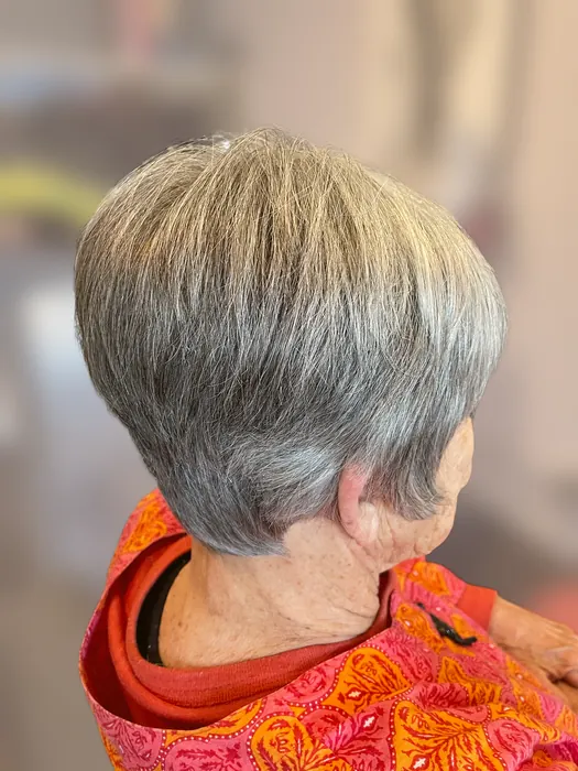 Silver layered pixie cut by Hair by Lana, Santa Barbara